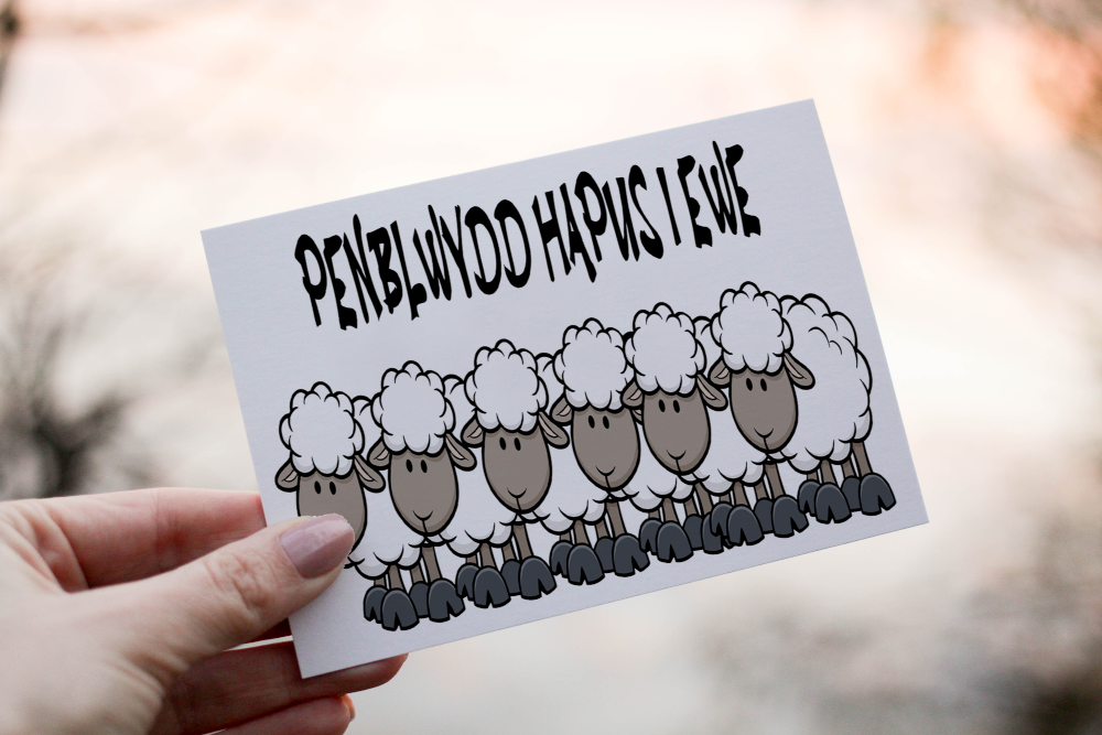 Welsh Happy Birthday To Ewe Birthday Card, Sheep Birthday Card - Click Image to Close